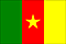 flags_of_Cameroon